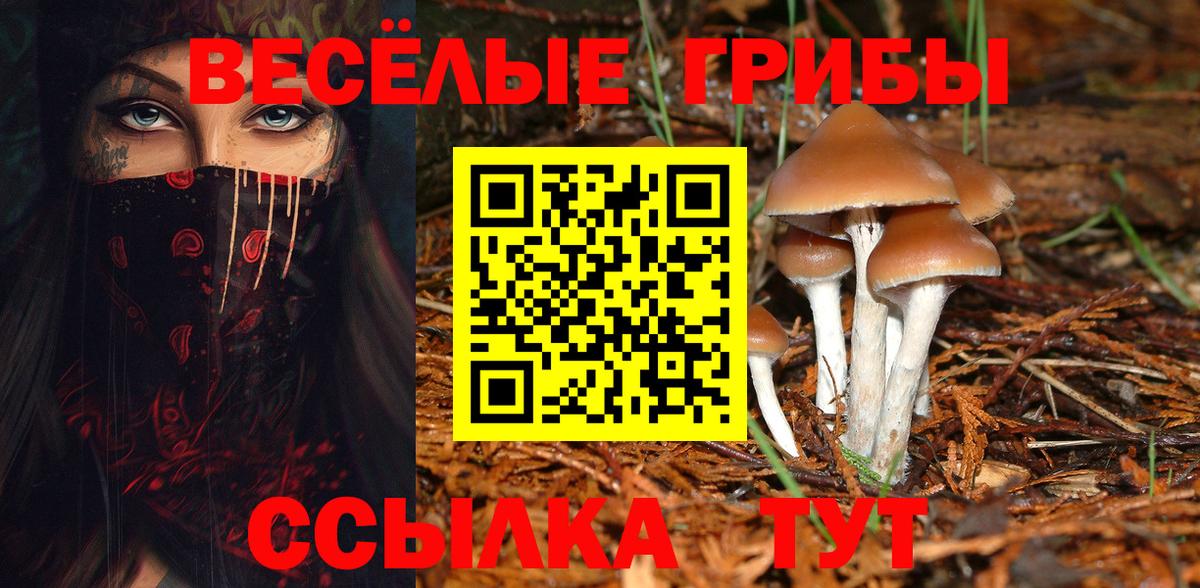 Всеволожск  Галлюциногенные грибы Magic Shrooms  Галлюциногенные грибы Magic Shrooms  Вход с VPN 
